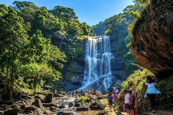 Hebbe Falls cascading inside coffee estate woods
