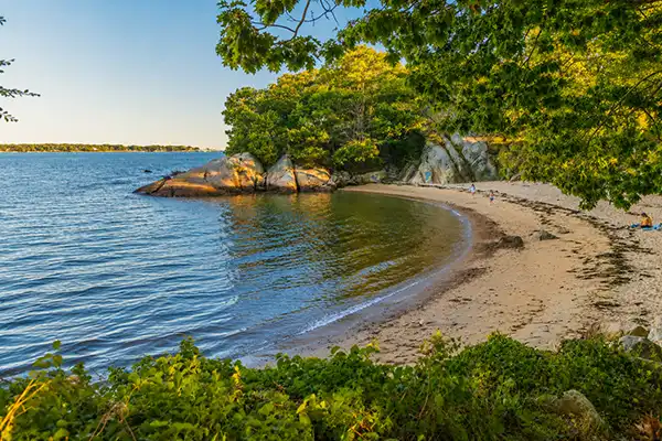Cliffs and forest surrounding Half Moon Beach
